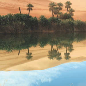 Legal Oasis art Legal Oasis art